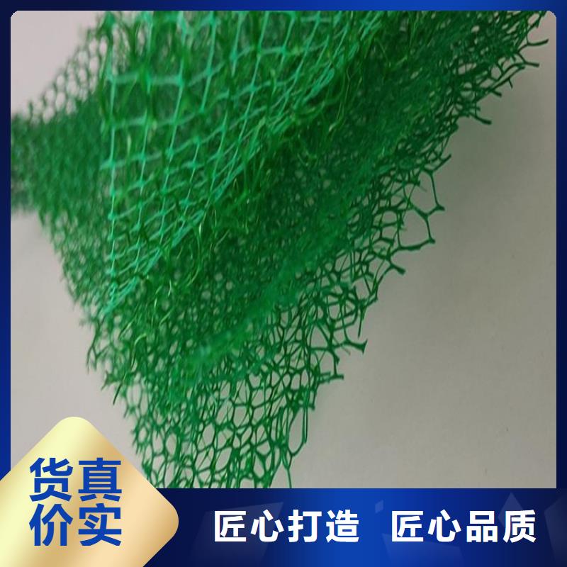 塑料绿化加筋护坡网垫质量为本