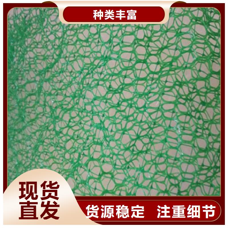 南京三维土工网垫-三维土工网型号性能
