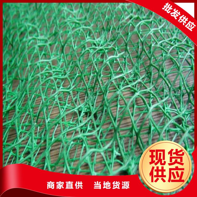 昆明三维土工网垫-边坡三维植被网
