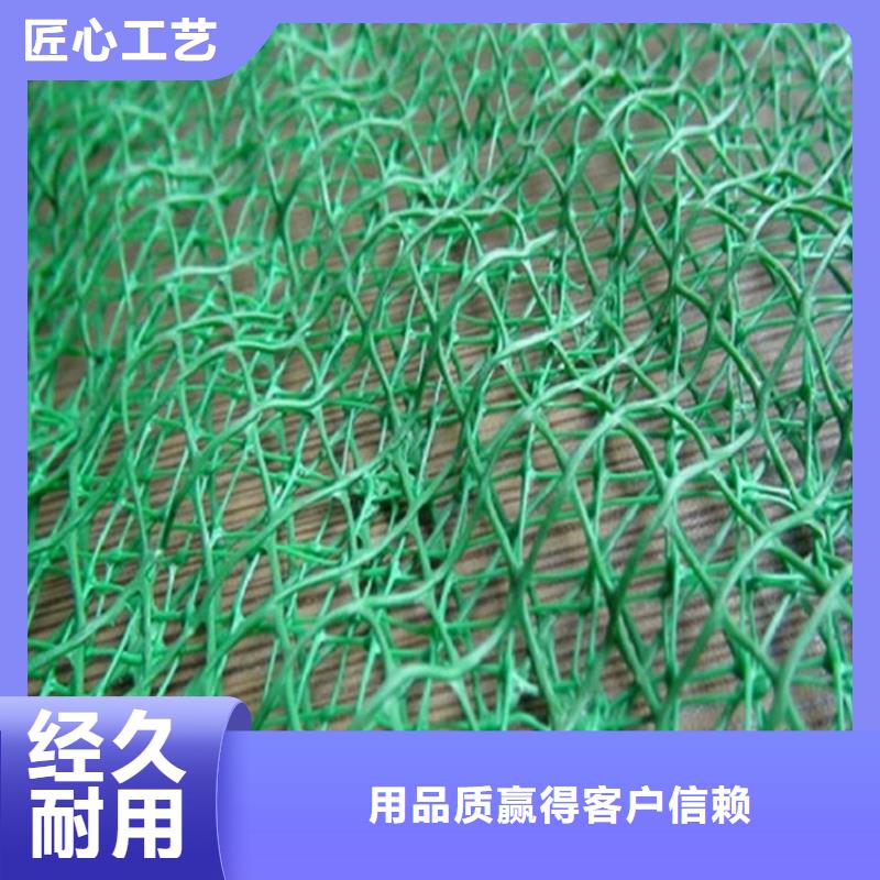 塑料环保三维土工网垫细节严格凸显品质