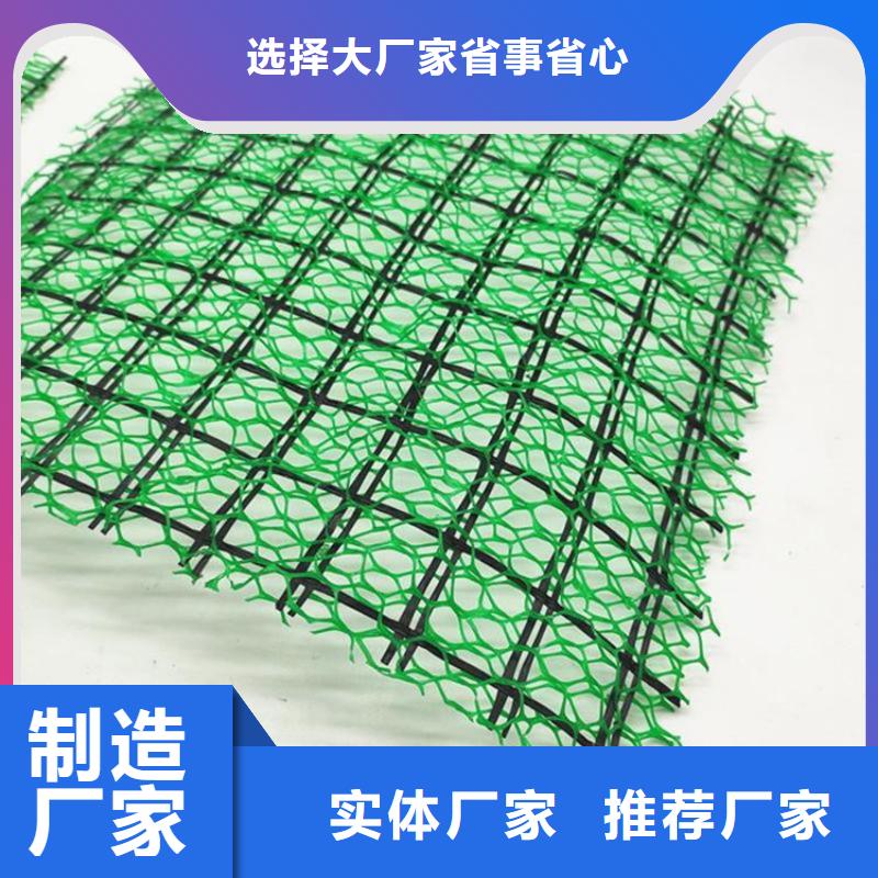 芜湖三维土工网垫-边坡三维土工网垫