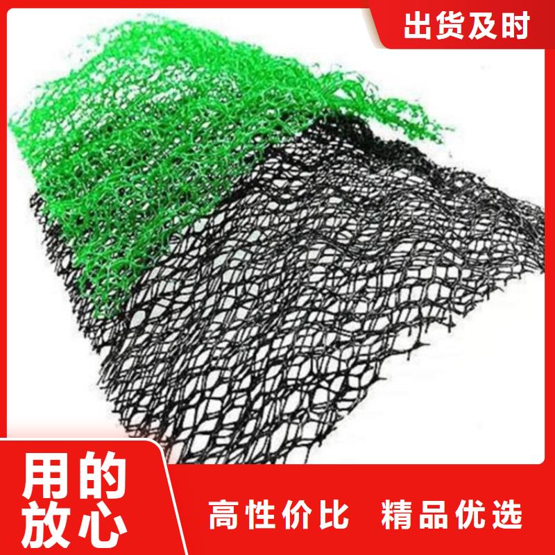 三维土工网垫-绿色三维植被网有限公司/多少钱一平专注质量