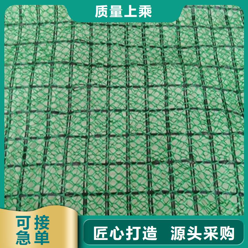 三维植草护坡网垫-2层3层三维植被网规格颜色自产自销