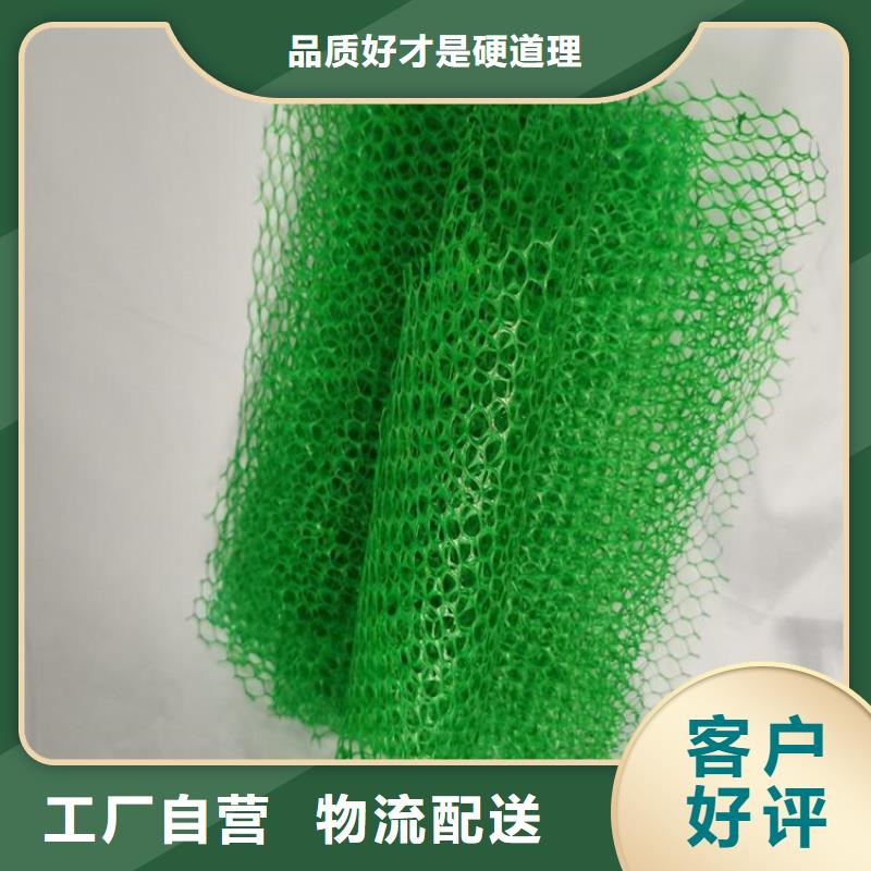 加筋护坡网垫规格形式热销产品