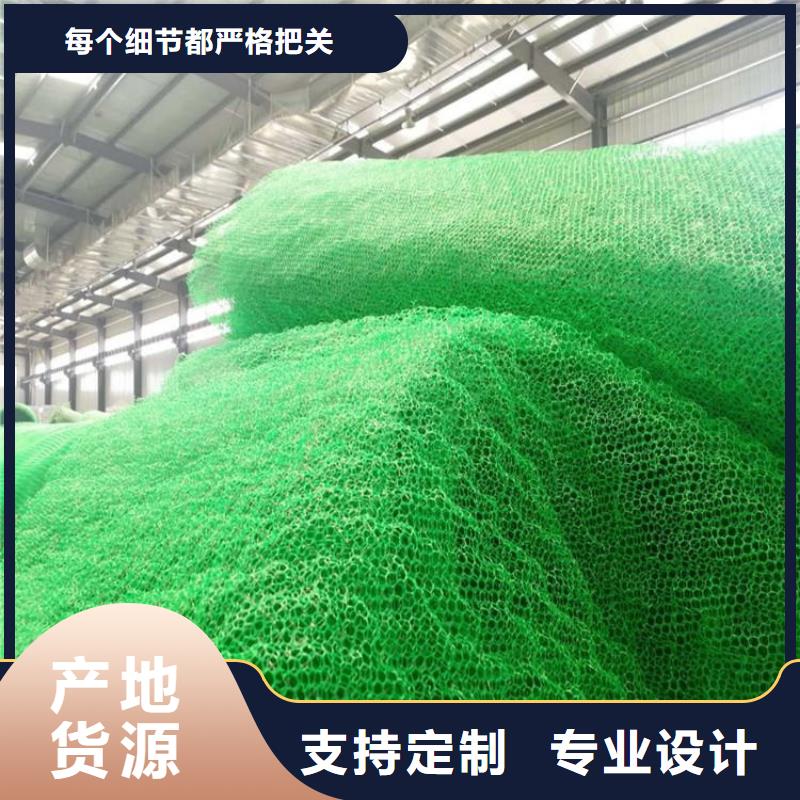 三维护坡植草网垫代理当地生产商