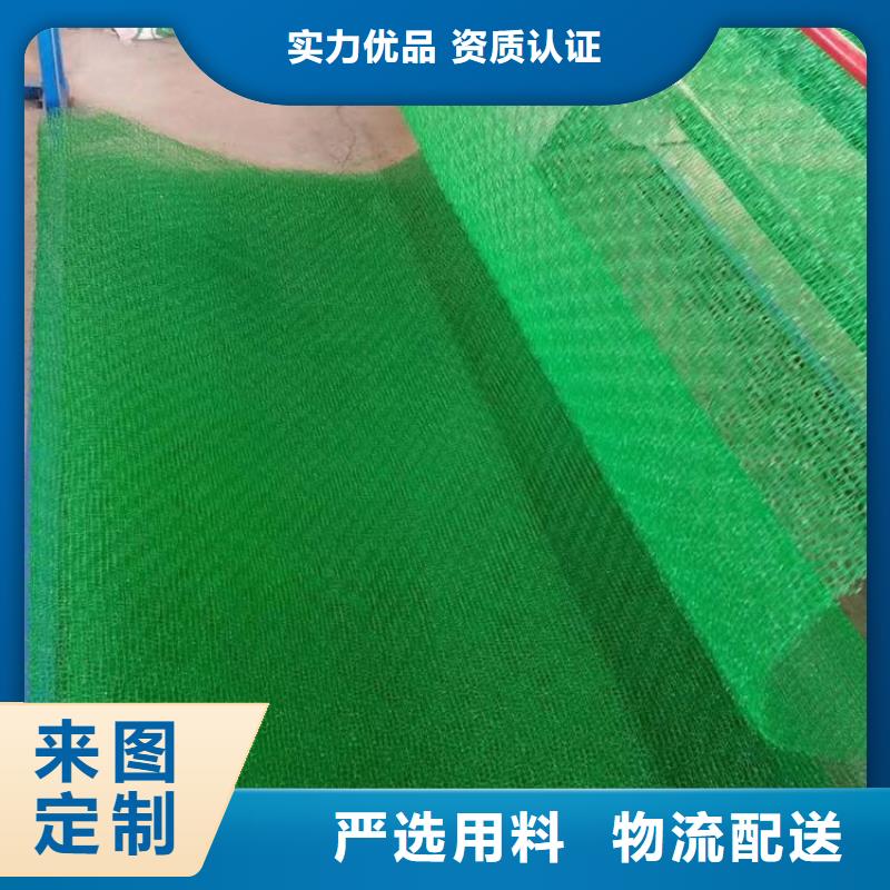 台州三维固土网垫-加筋三维土工网垫厂家-销售