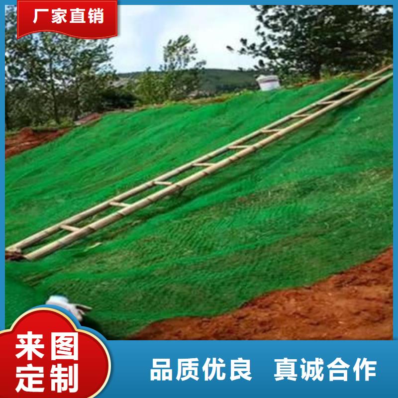 绿化塑料三维加筋土工网垫闪电发货