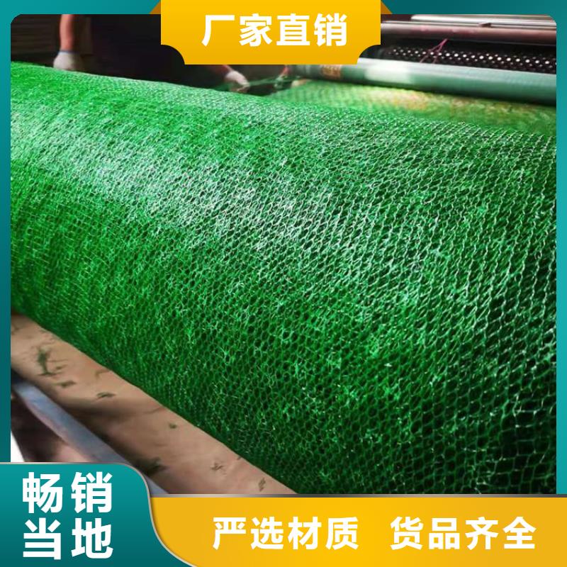 三维护坡植被网垫#塑料固土当地生产商
