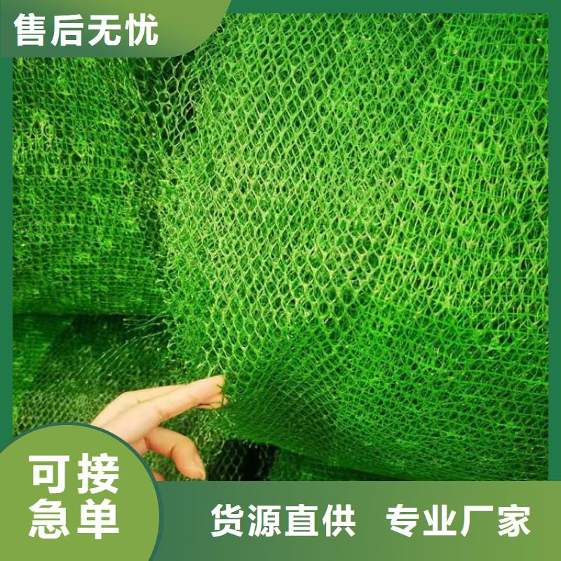 固土绿化加筋护坡网垫按需定制