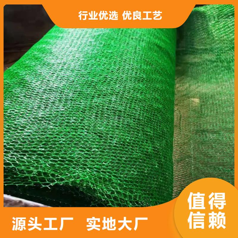 云浮三维土工网垫-绿色三维植被网