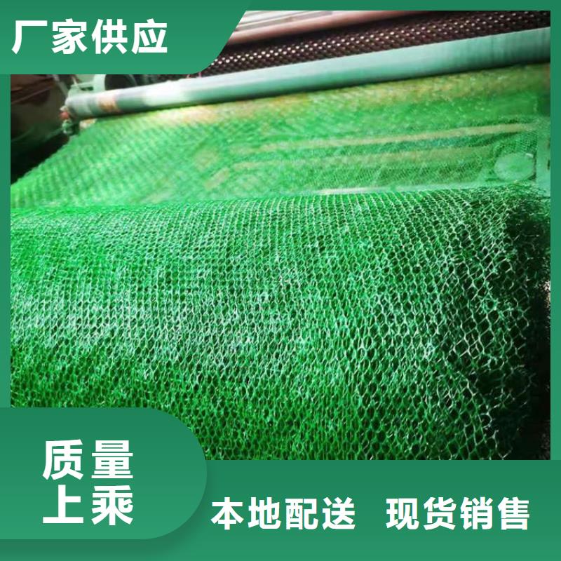 桂林加筋EM4三维护坡植被网垫