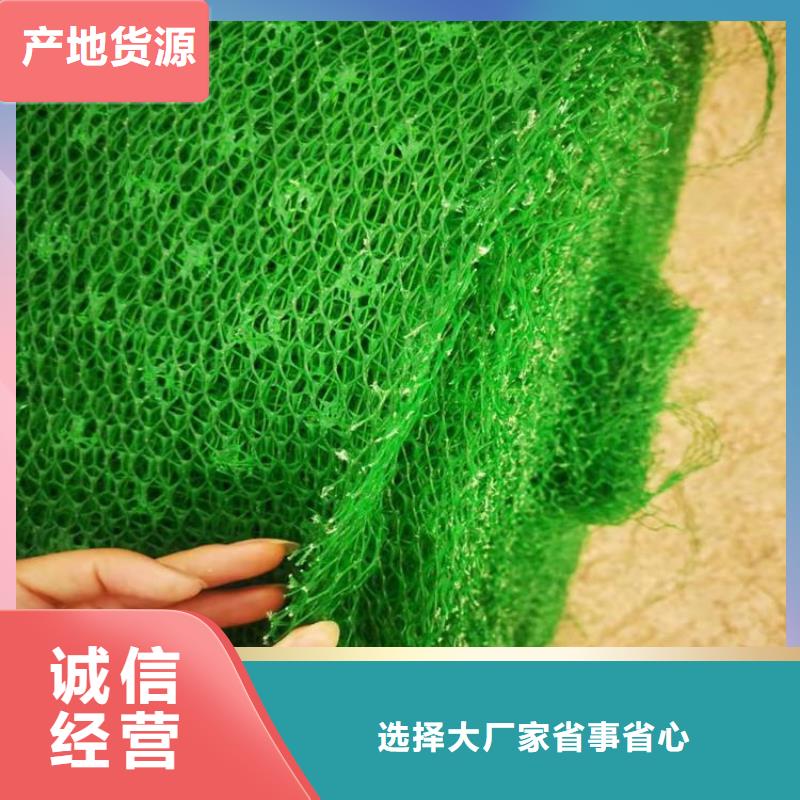桂林加筋护坡网垫产品动态