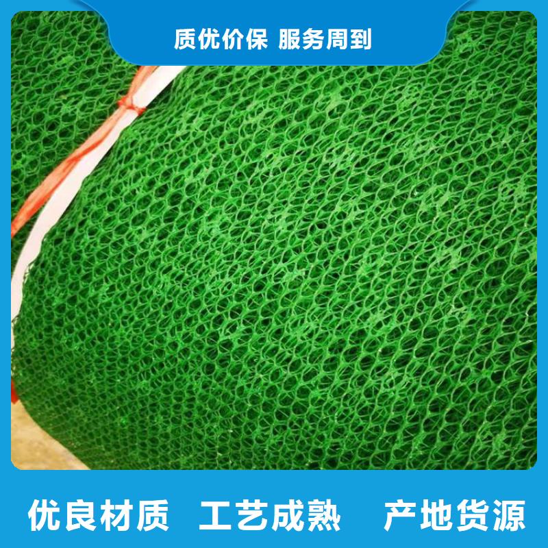 【三维植被网】,HDPE土工膜多年厂家可靠N年生产经验
