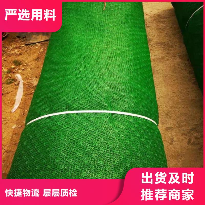 护坡加筋网垫-土工网垫公司代理本地生产厂家