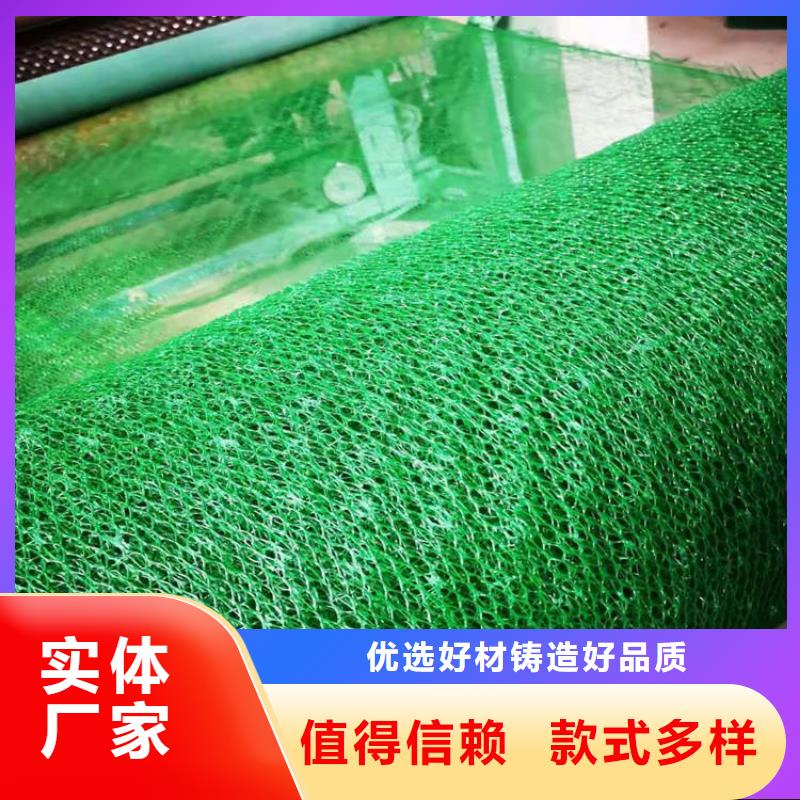 绿化加筋三维土工网垫用心做好每一件产品
