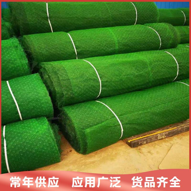 三维植被网_膨润土防水毯好货直供追求品质