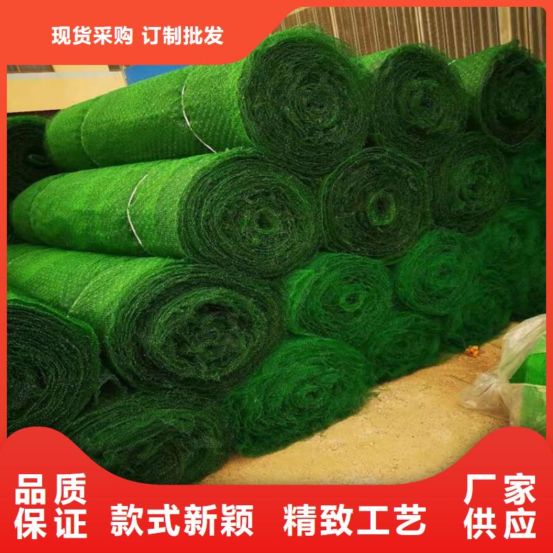三维植草护坡网垫-EM4三维土工网垫生产厂家