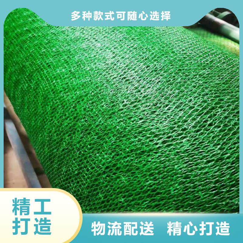 汕头三维土工网垫-绿色三维土工网垫规格结构