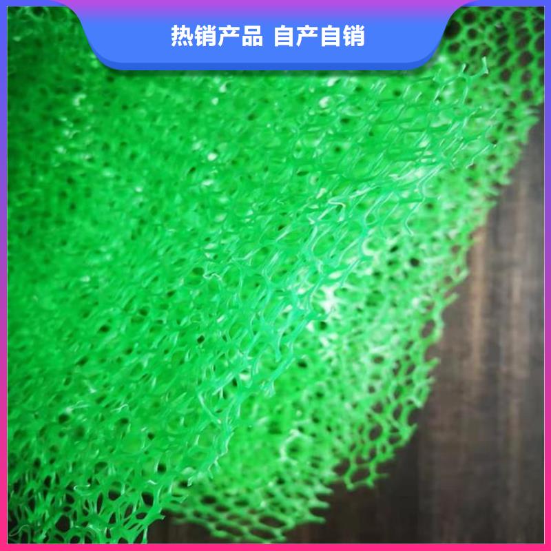 护坡加筋网垫-绿色三维植被网批发价格交货准时
