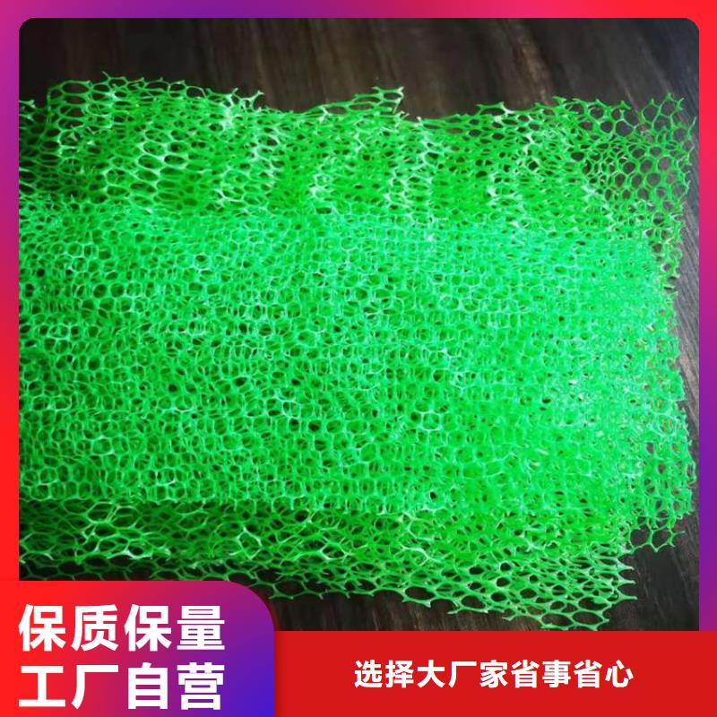 温州三维护坡加筋网垫#加筋EM5