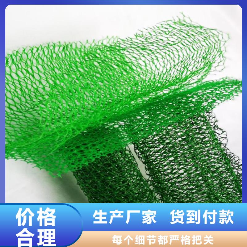 塑料环保加筋护坡网垫实力派厂家