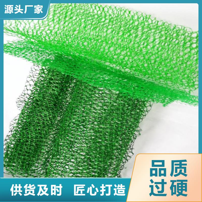 ​郑州三维固土网垫-边坡三维植被网