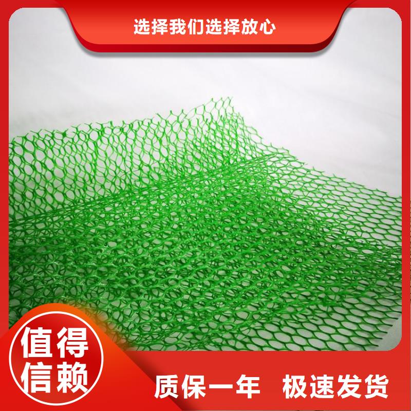 护坡加筋网垫-绿色三维土工网垫好货采购