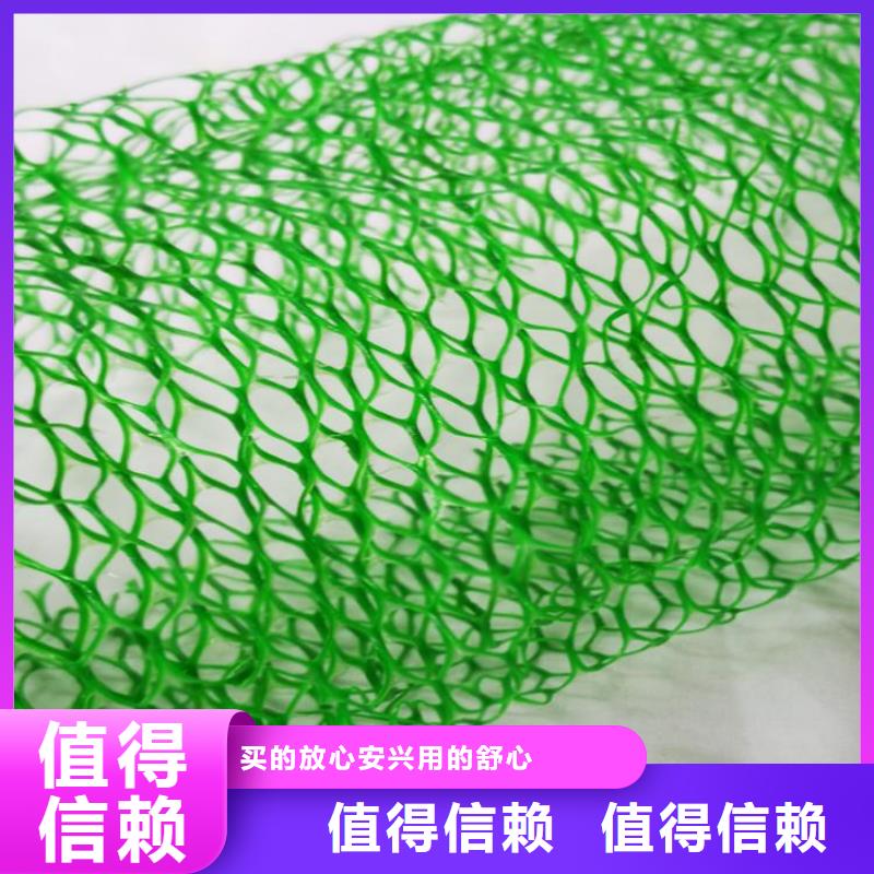 三维植被网-三维固土网垫品质好才是硬道理