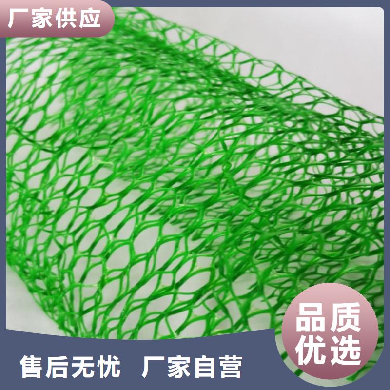 三维植被网-护坡三维土工网垫供应-哪里有卖的多年厂家可靠