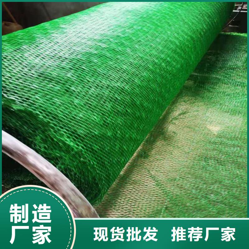护坡加筋网垫-边坡三维土工网垫厂家-批发现货快速采购