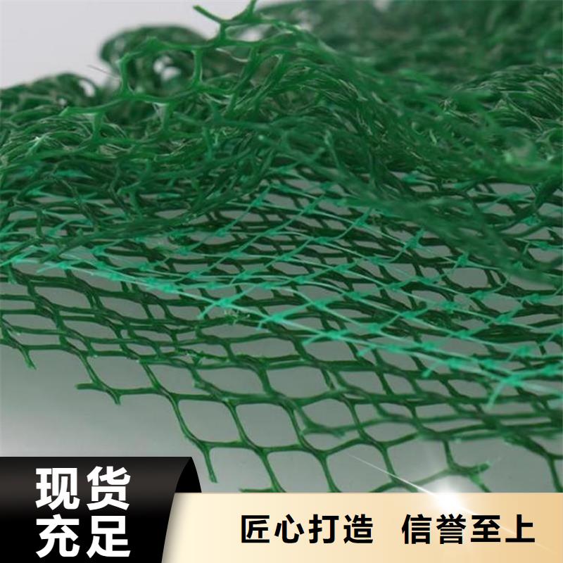 贺州三维土工网垫#EM3绿化