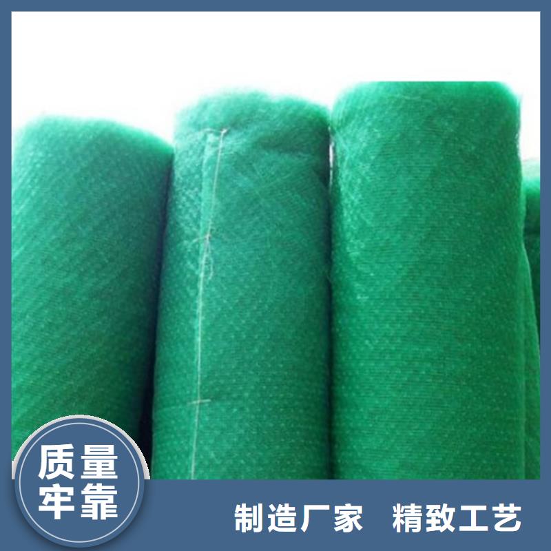 安庆三维固土网垫-边坡三维植被网施工图片