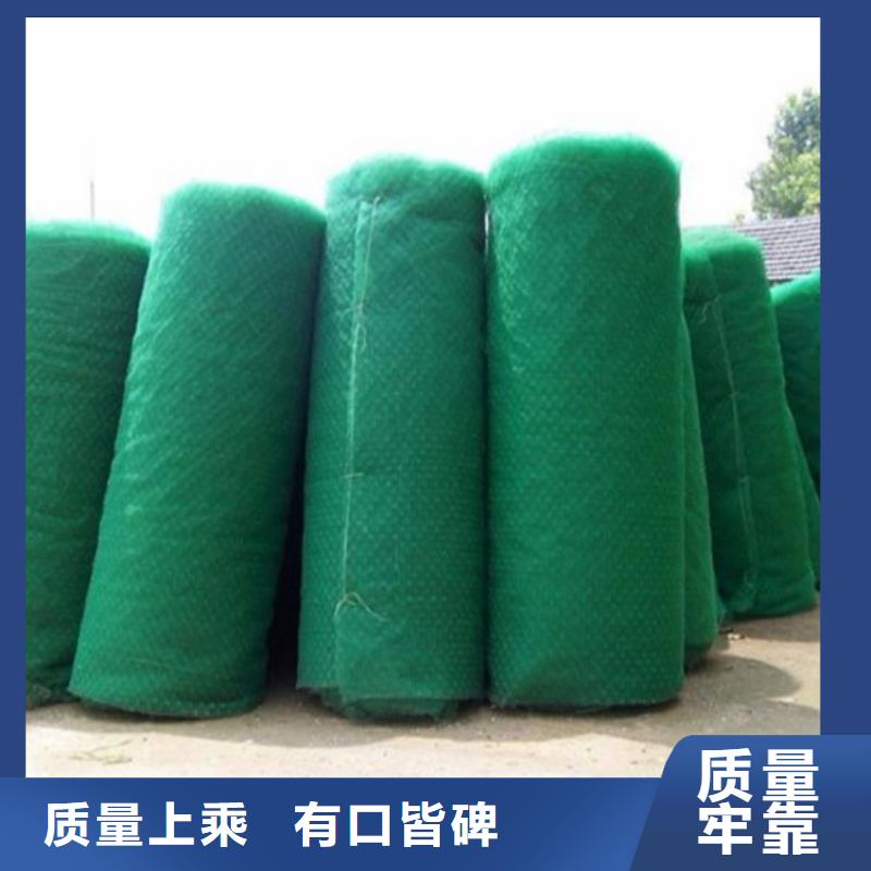 护坡加筋网垫-边坡三维植被网厂家市场批发附近生产厂家