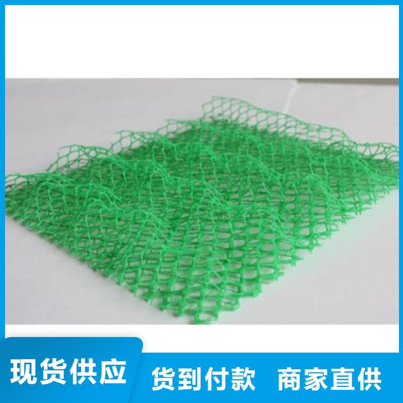护坡加筋网垫-三维植被网垫价格公道质量无忧