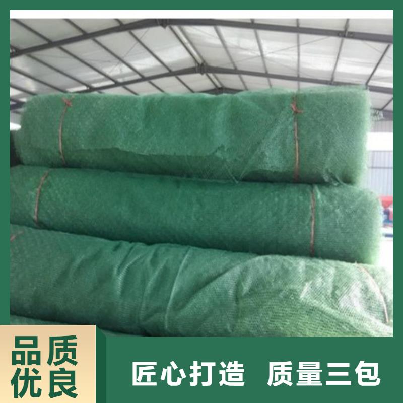 惠州三维固土网垫-土工网垫施工案例介绍
