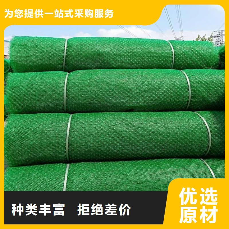 三维固土网垫-边坡三维植被网特点厚度精品选购