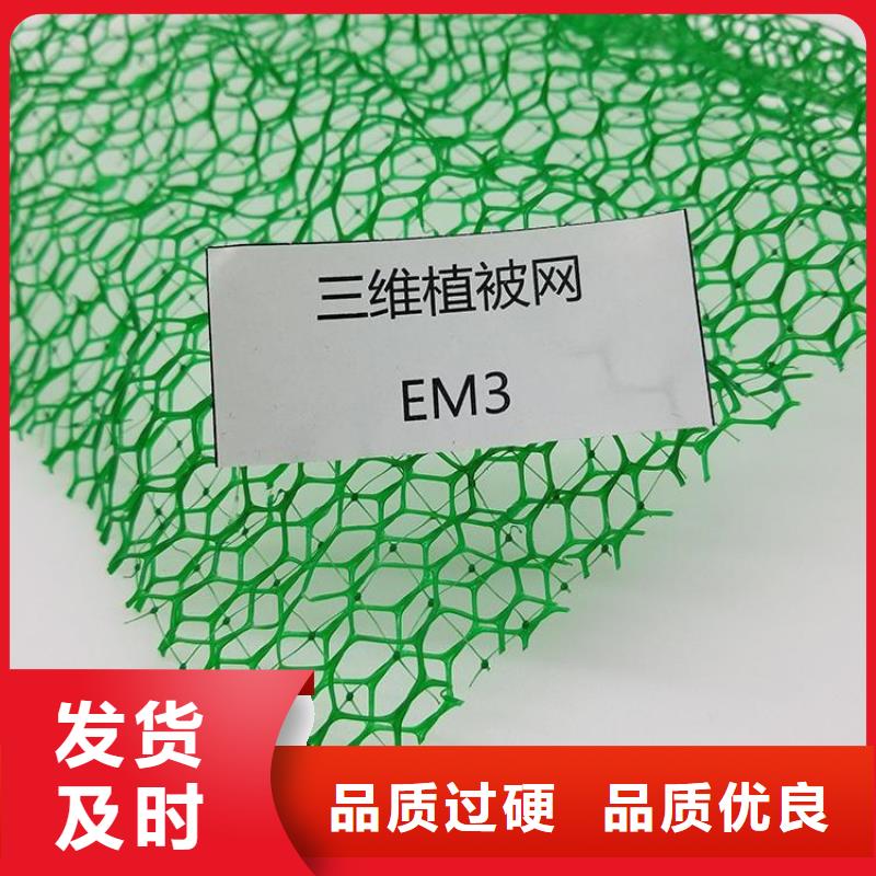 加筋护坡网垫#EM3EM2厂家直发