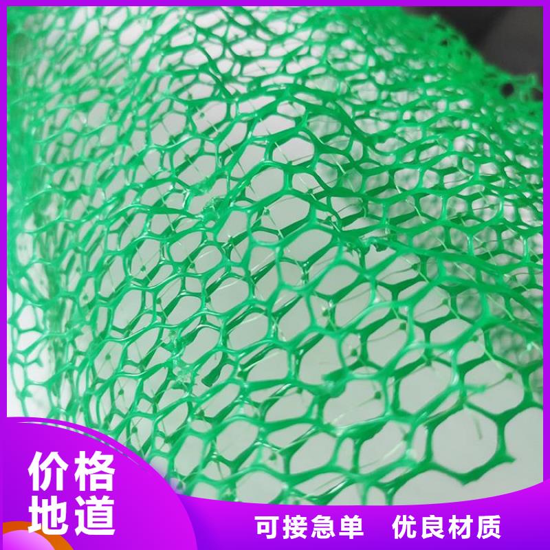 护坡加筋网垫-绿色三维植被网设计制造销售服务一体