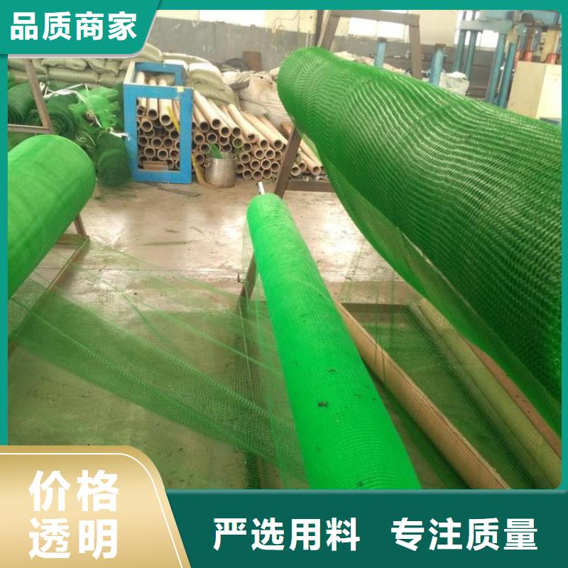 护坡加筋网垫-边坡三维土工网垫专业生产N年