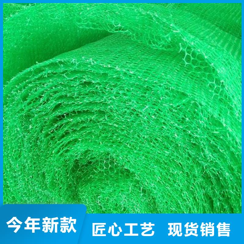滁州EM2绿化三维护坡植被网垫