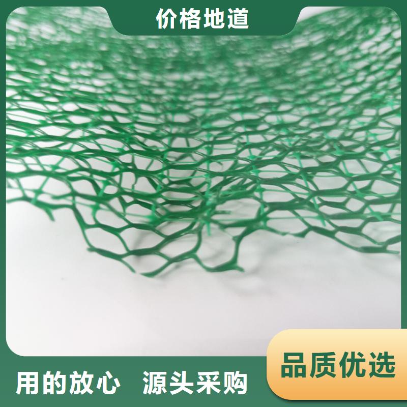 上海三维植被网_HDPE土工膜快速生产
