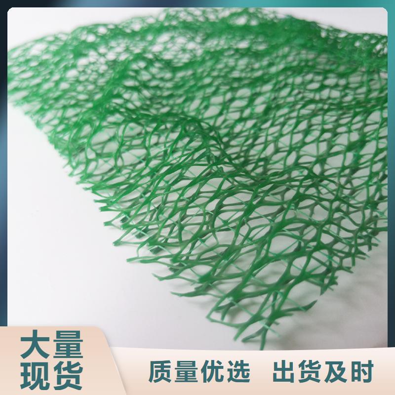 三维护坡加筋网垫#草皮塑料当地生产厂家