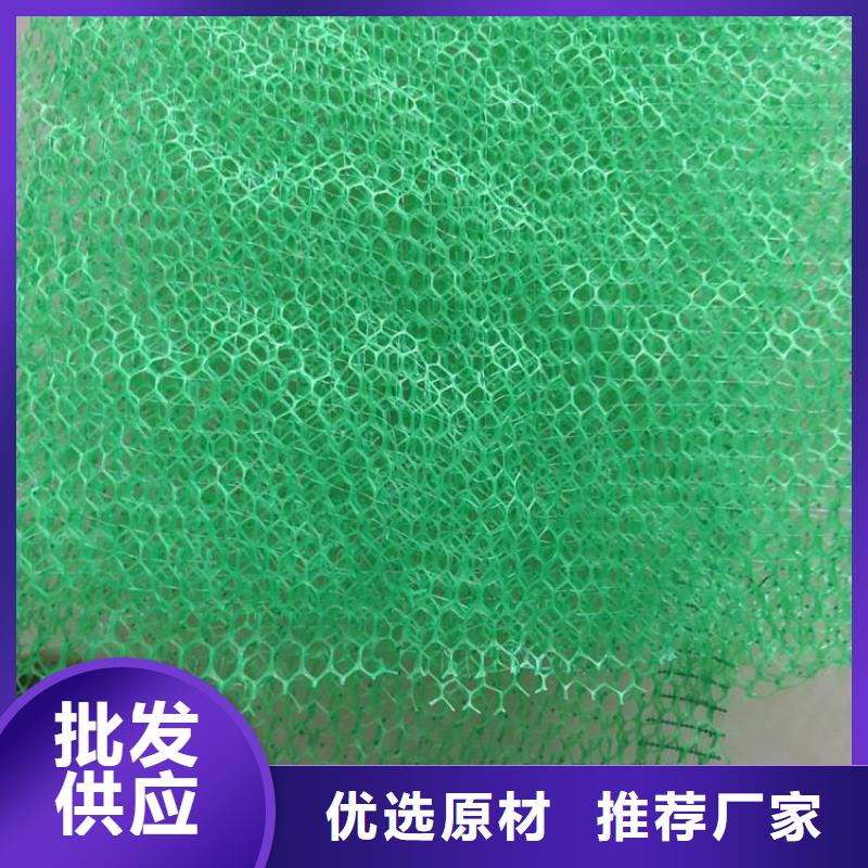 揭阳三维护坡加筋网垫#塑料环保