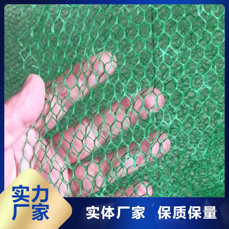 三维护坡植被网垫#EM5塑料厂家直营