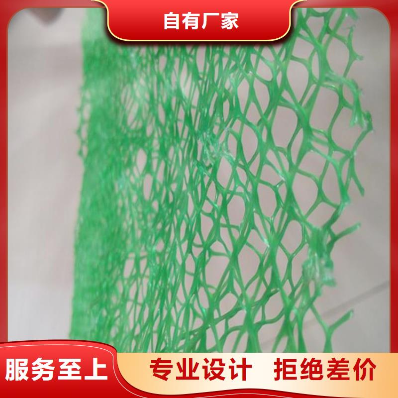 塑料加筋三维护坡加筋网垫专业设计