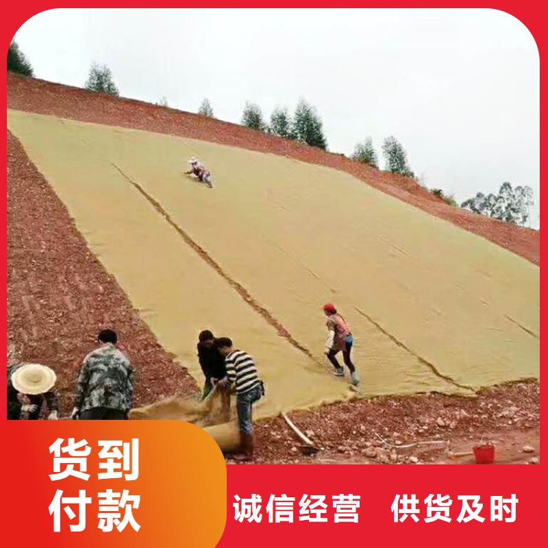 阳江植物纤维毯当地代理