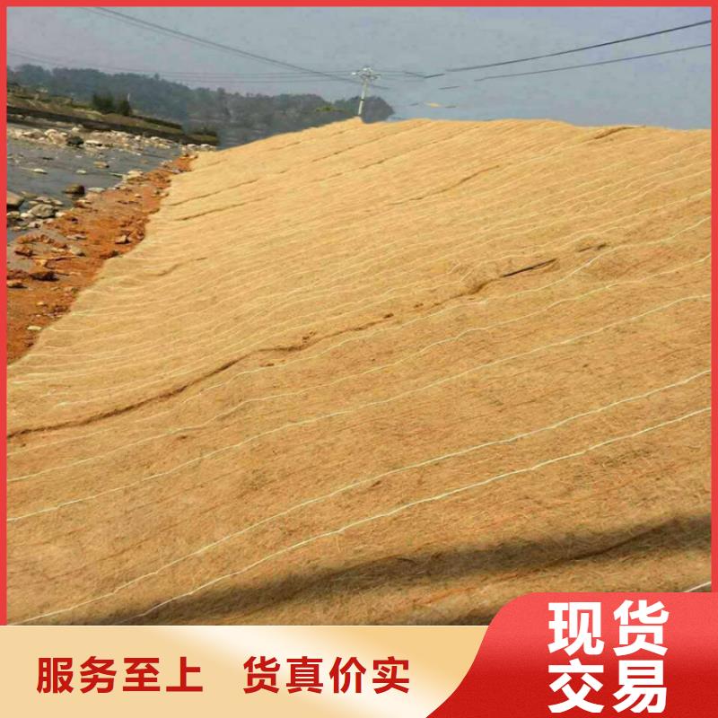 椰纤植生毯厂家欢迎您专业生产品质保证