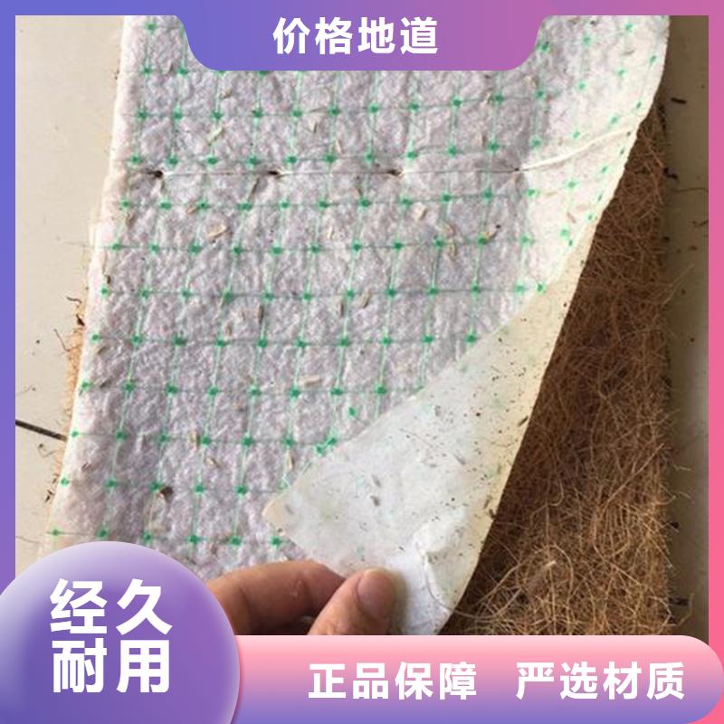 椰纤植生毯-抗冲植生毯-草种植物纤维毯支持非标定制