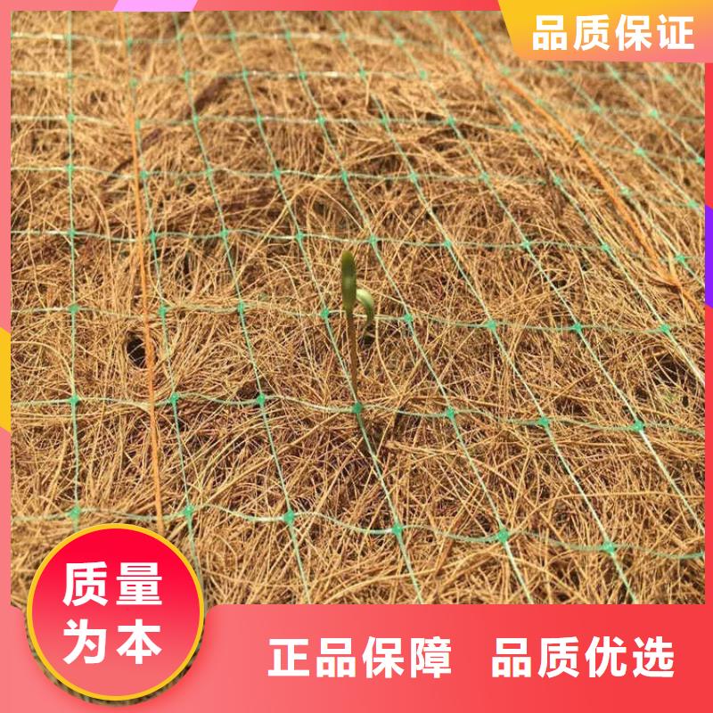 漳州植物生态防护毯-加筋抗冲生态毯