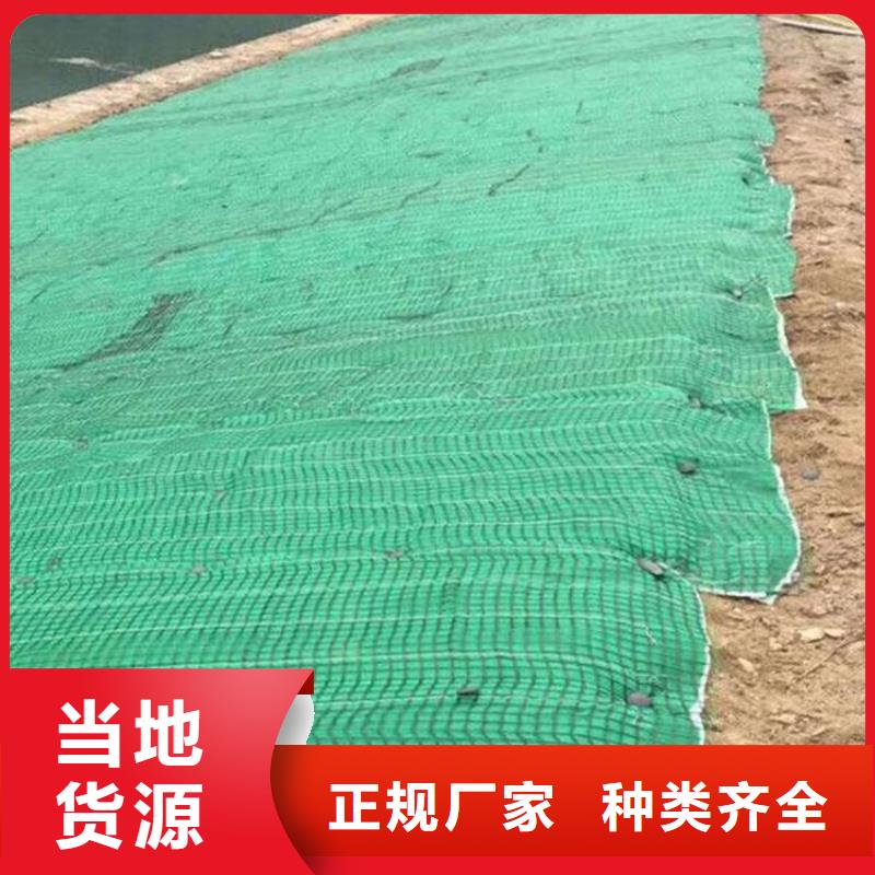 绍兴植生椰丝毯-加筋抗冲生物毯